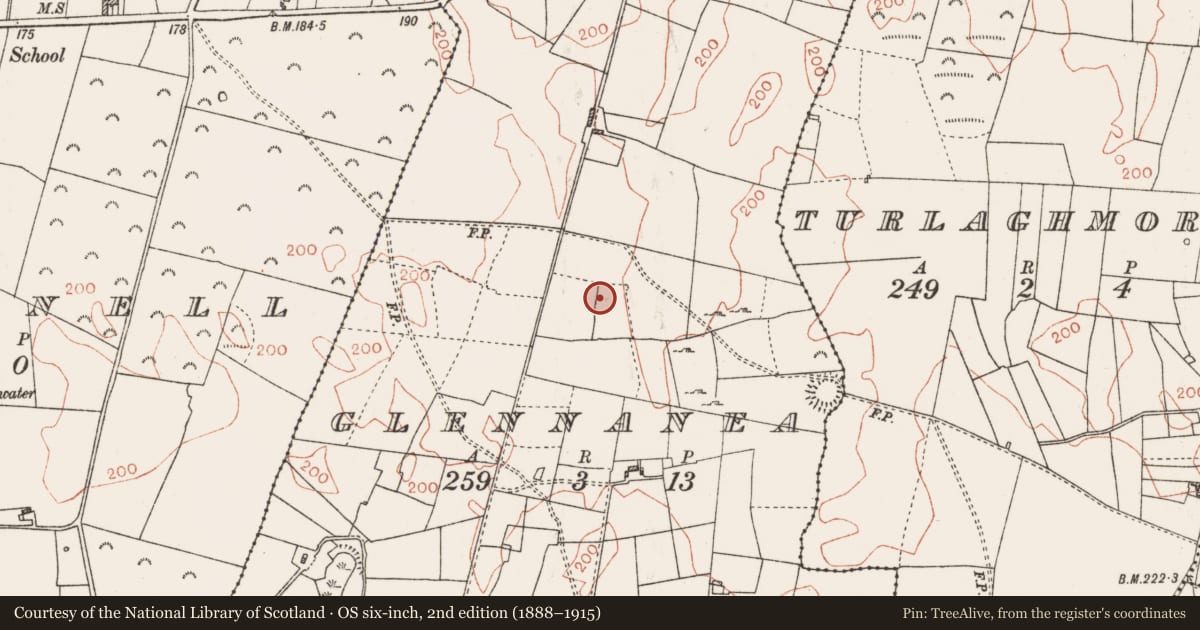 Ordnance Survey six-inch map, 2nd edition (1888–1915) covering the location of Ringfort - rath, Glennanea, County Roscommon, with a pin at the register's coordinates