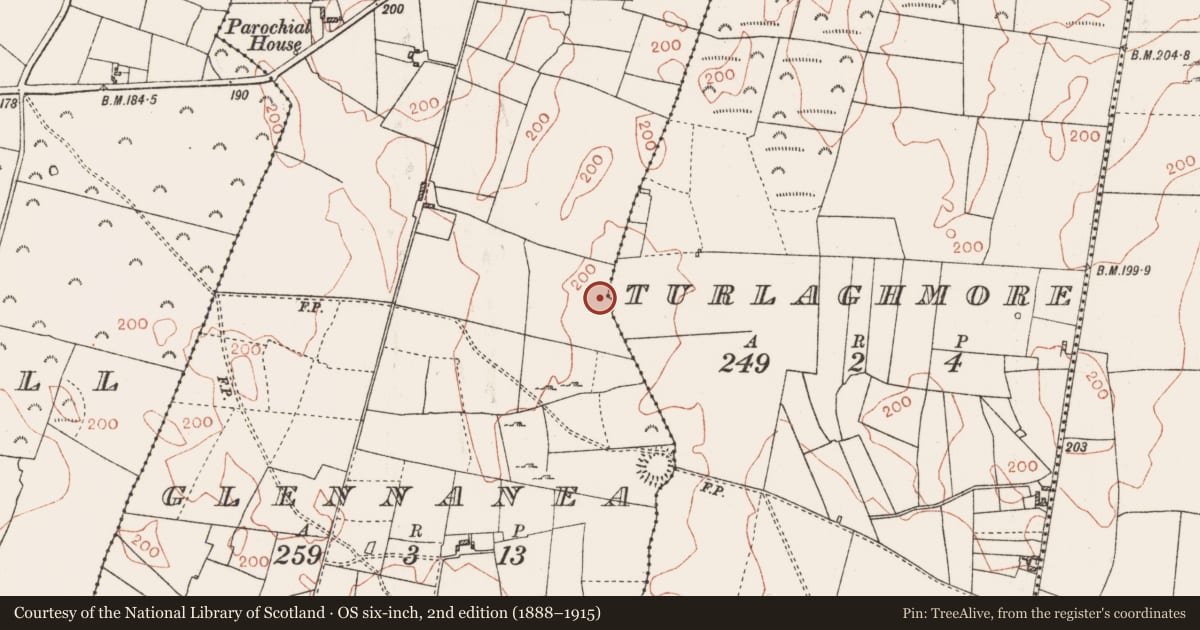 Ordnance Survey six-inch map, 2nd edition (1888–1915) covering the location of Ringfort - cashel, Glennanea, Turlaghmore, County Roscommon, with a pin at the register's coordinates