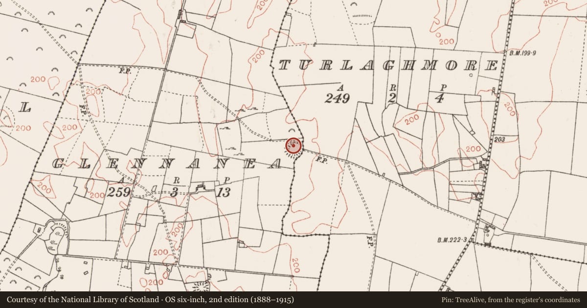 Ordnance Survey six-inch map, 2nd edition (1888–1915) covering the location of Ringfort - rath, Glennanea, County Roscommon, with a pin at the register's coordinates