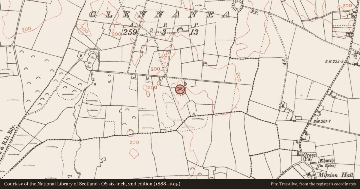 Ordnance Survey six-inch map, 2nd edition (1888–1915) covering the location of Ringfort - rath, Glennanea, County Roscommon, with a pin at the register's coordinates
