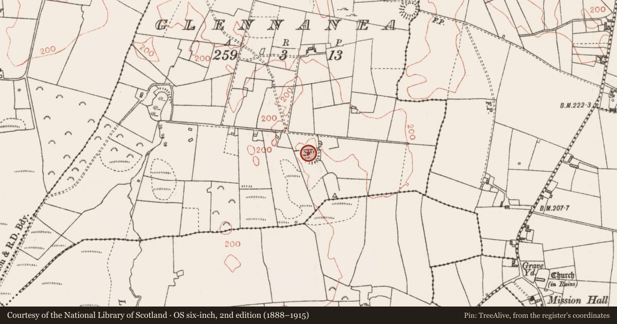 Ordnance Survey six-inch map, 2nd edition (1888–1915) covering the location of Souterrain, Glennanea, County Roscommon, with a pin at the register's coordinates