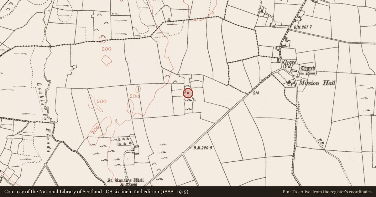 Ordnance Survey six-inch map, 2nd edition (1888–1915) covering the location of Settlement cluster, Sraduff, County Roscommon, with a pin at the register's coordinates