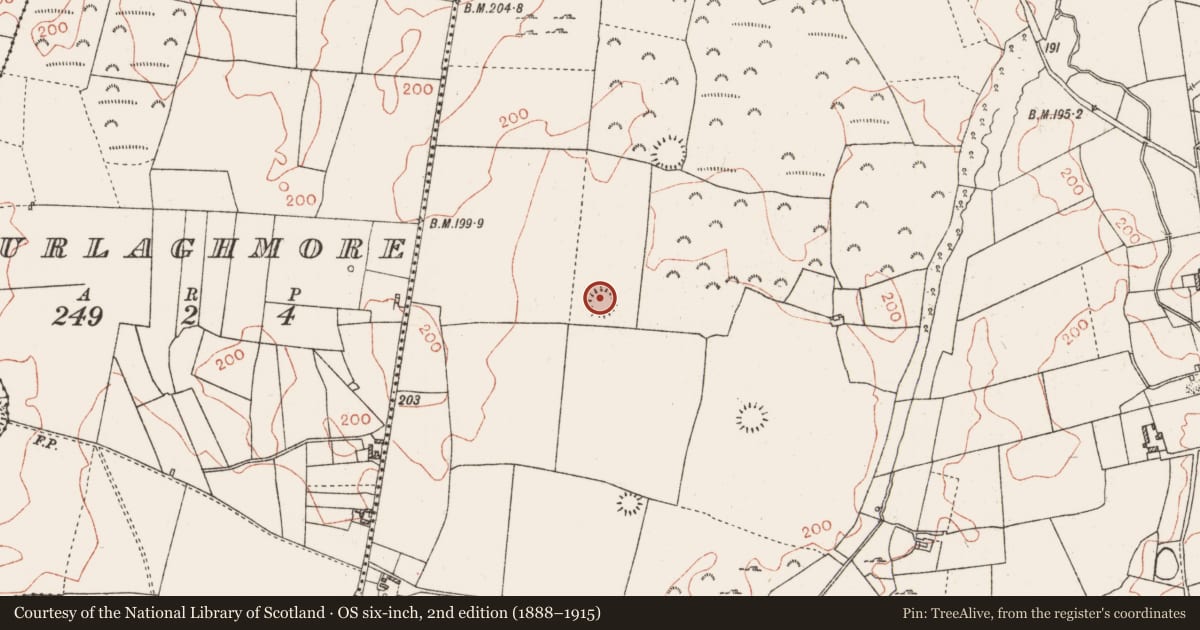 Ordnance Survey six-inch map, 2nd edition (1888–1915) covering the location of Ringfort - cashel, Carrowduff And Garbally, County Roscommon, with a pin at the register's coordinates
