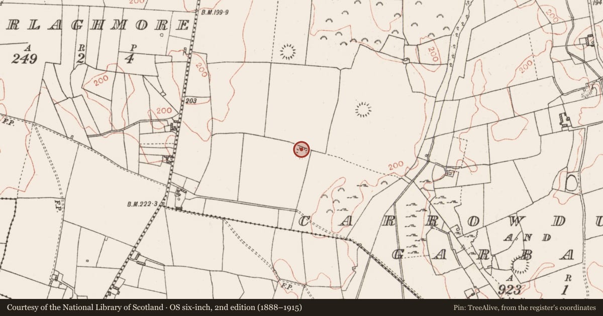 Ordnance Survey six-inch map, 2nd edition (1888–1915) covering the location of Ringfort - cashel, Carrowduff And Garbally, County Roscommon, with a pin at the register's coordinates