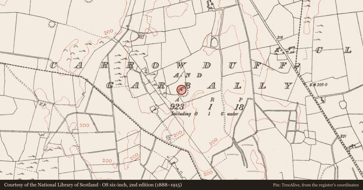 Ordnance Survey six-inch map, 2nd edition (1888–1915) covering the location of Ringfort - rath, Carrowduff And Garbally, County Roscommon, with a pin at the register's coordinates
