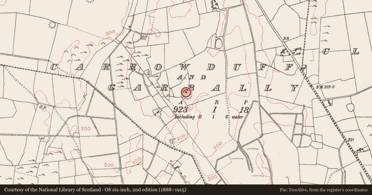 Ordnance Survey six-inch map, 2nd edition (1888–1915) covering the location of Souterrain, Carrowduff And Garbally, County Roscommon, with a pin at the register's coordinates