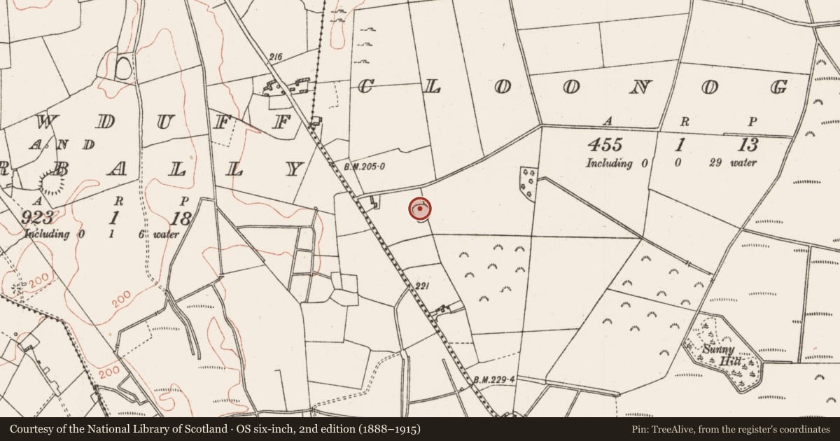 Ordnance Survey six-inch map, 2nd edition (1888–1915) covering the location of Ringfort - cashel, Cloonoghil, County Roscommon, with a pin at the register's coordinates