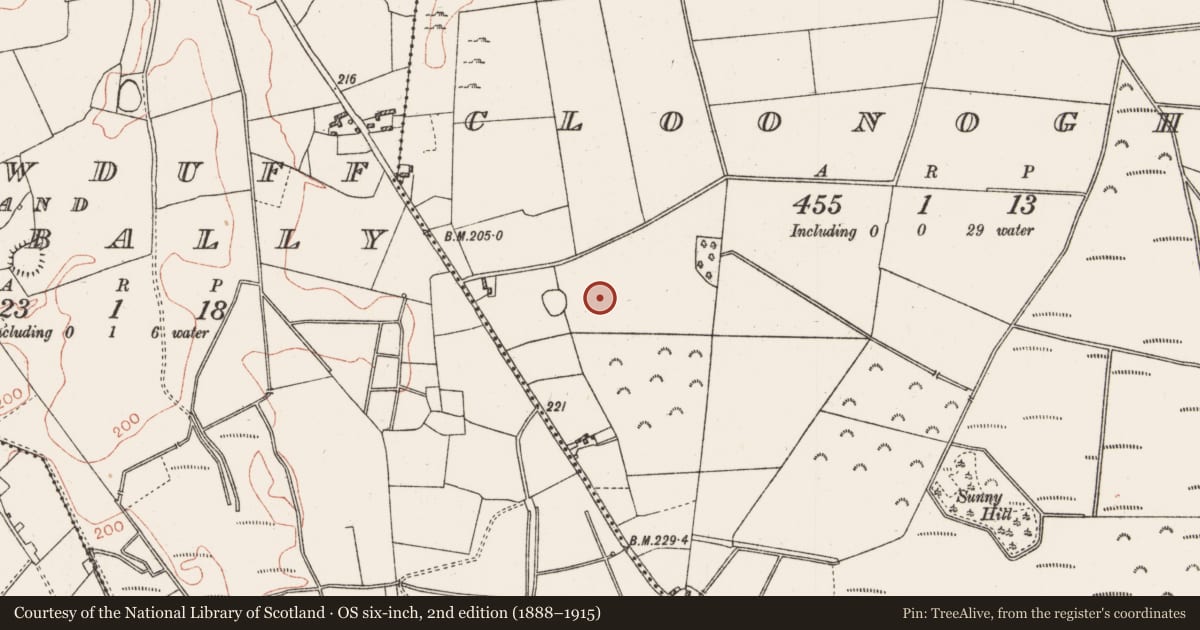 Ordnance Survey six-inch map, 2nd edition (1888–1915) covering the location of Enclosure, Cloonoghil, County Roscommon, with a pin at the register's coordinates