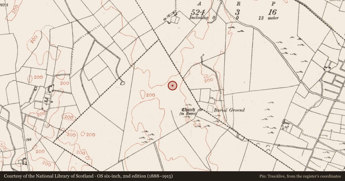 Ordnance Survey six-inch map, 2nd edition (1888–1915) covering the location of Road - road/trackway, Cloonoghil, County Roscommon, with a pin at the register's coordinates