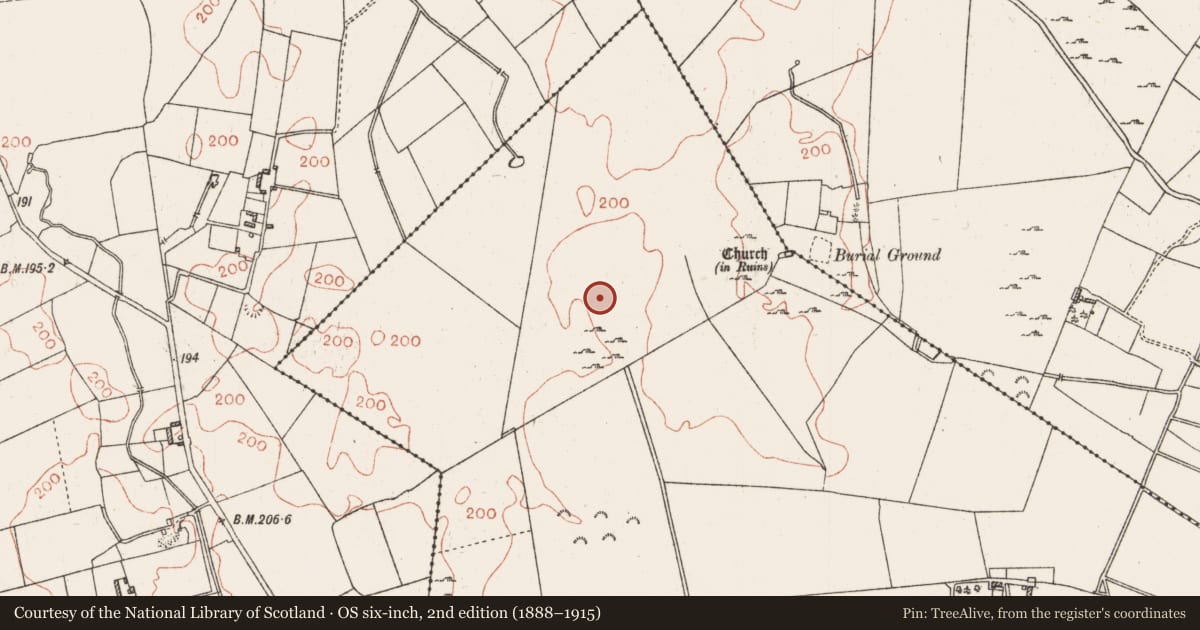 Ordnance Survey six-inch map, 2nd edition (1888–1915) covering the location of Field system, Cloonoghil, Corraree And Ballygatta, County Roscommon, with a pin at the register's coordinates