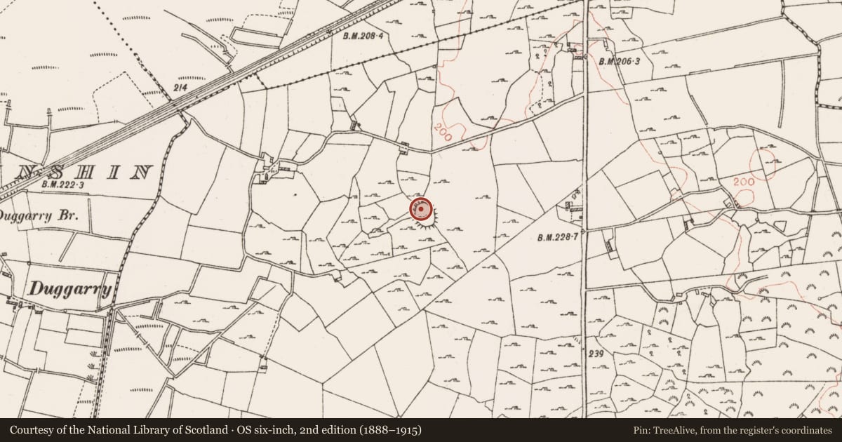 Ordnance Survey six-inch map, 2nd edition (1888–1915) covering the location of Ringfort - cashel, Ardkeenan, County Roscommon, with a pin at the register's coordinates
