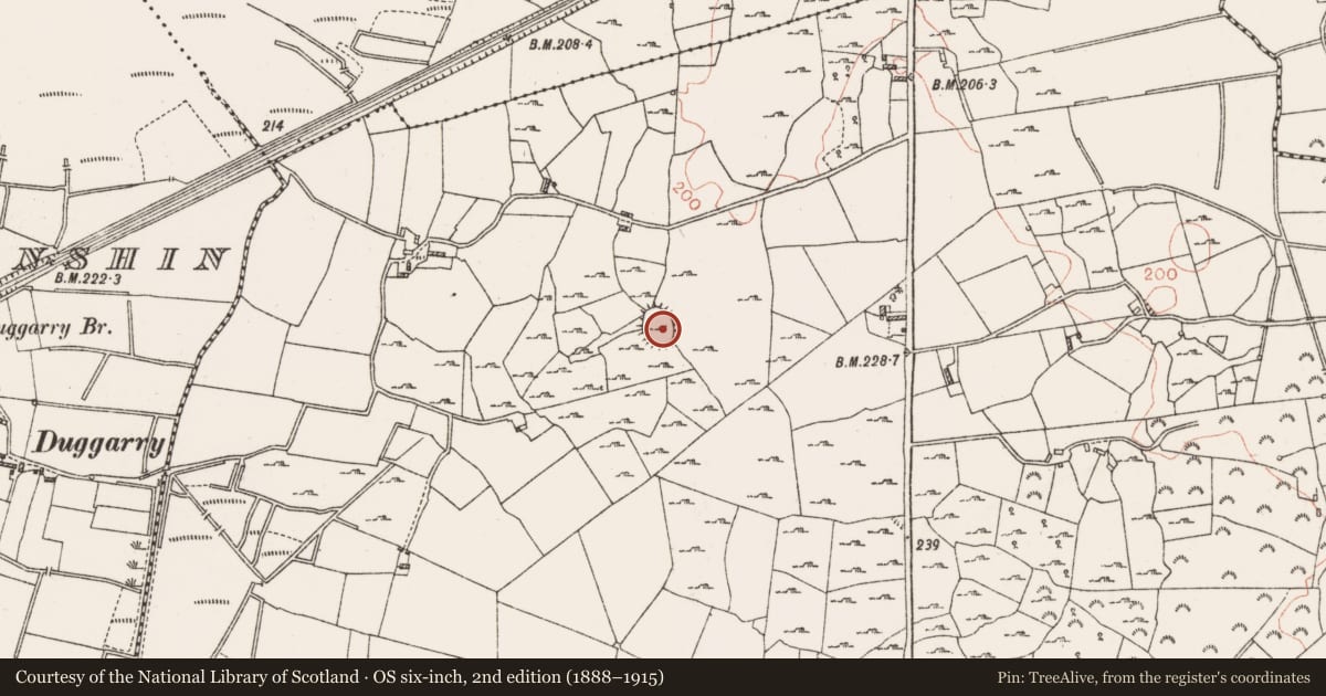 Ordnance Survey six-inch map, 2nd edition (1888–1915) covering the location of Children's burial ground, Ardkeenan, County Roscommon, with a pin at the register's coordinates