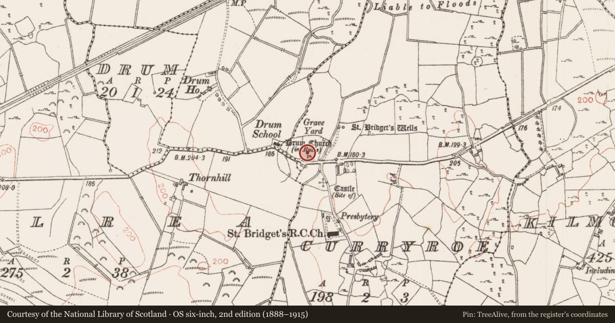 Ordnance Survey six-inch map, 2nd edition (1888–1915) covering the location of Cross-slab, Curryroe, County Roscommon, with a pin at the register's coordinates