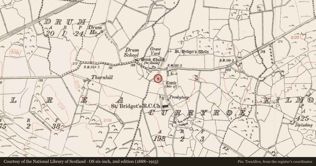 Ordnance Survey six-inch map, 2nd edition (1888–1915) covering the location of Castle - unclassified, Curryroe, County Roscommon, with a pin at the register's coordinates