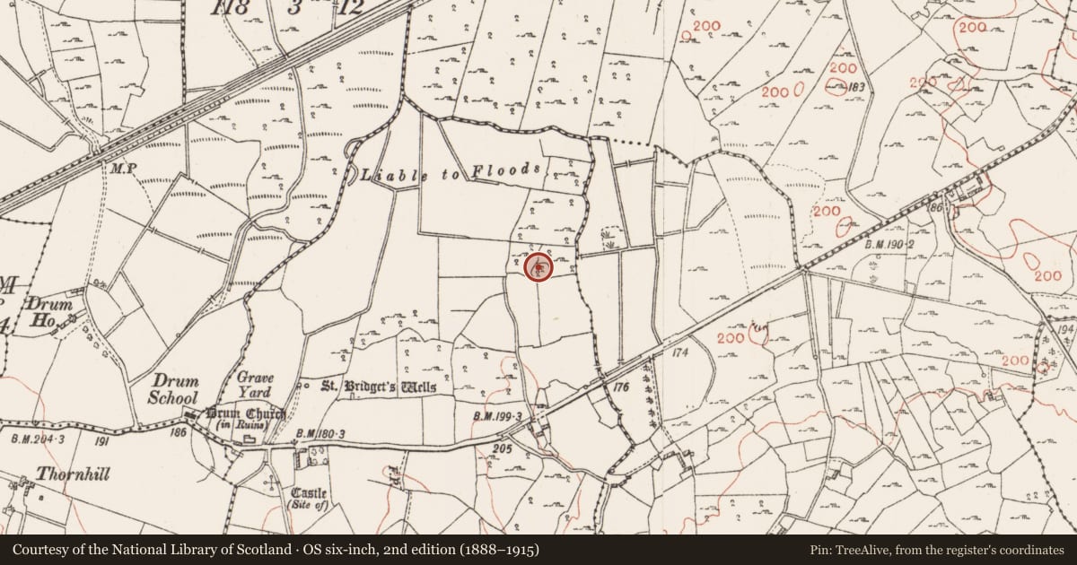 Ordnance Survey six-inch map, 2nd edition (1888–1915) covering the location of Ringfort - cashel, Curryroe, County Roscommon, with a pin at the register's coordinates