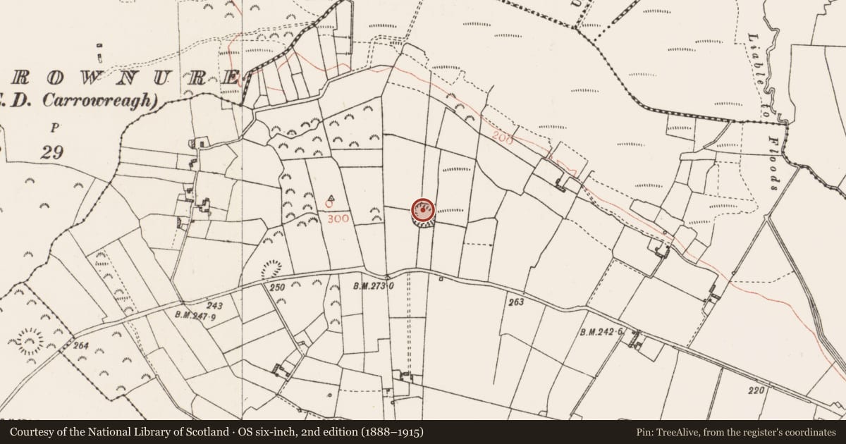 Ordnance Survey six-inch map, 2nd edition (1888–1915) covering the location of Ringfort - rath, Knock, County Roscommon, with a pin at the register's coordinates