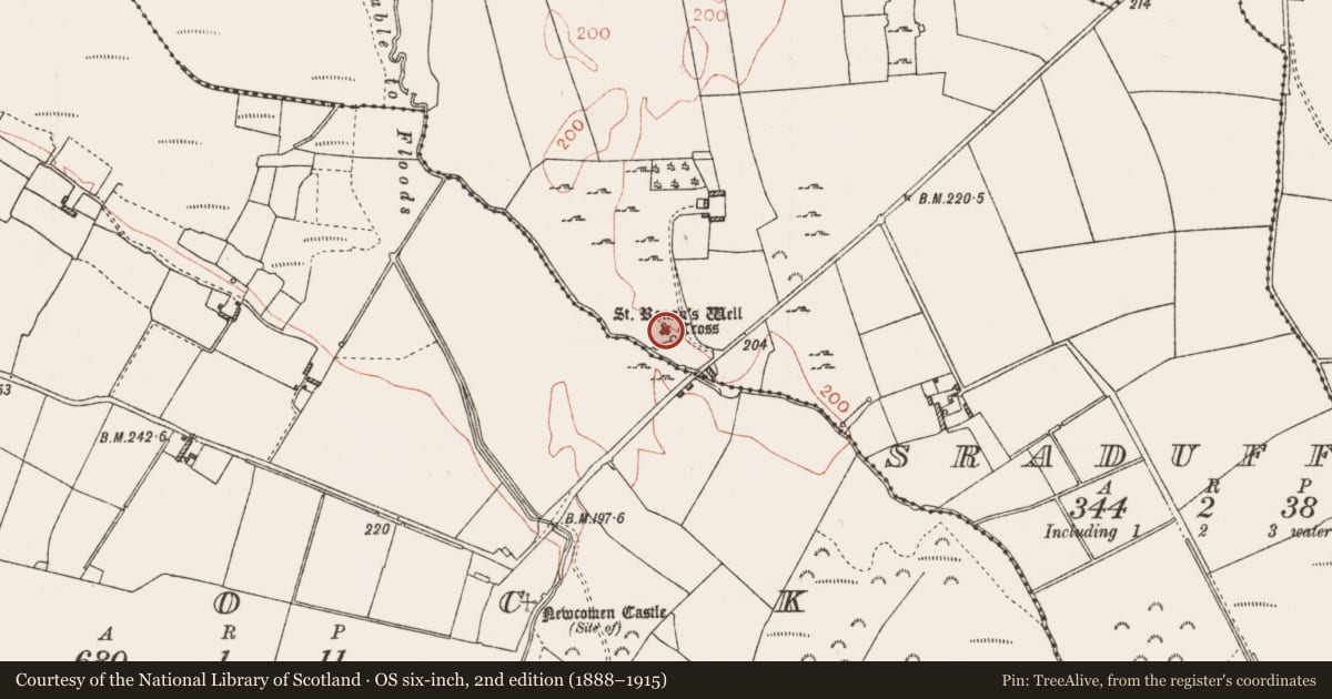 Ordnance Survey six-inch map, 2nd edition (1888–1915) covering the location of Crucifixion plaque, Sraduff, County Roscommon, with a pin at the register's coordinates