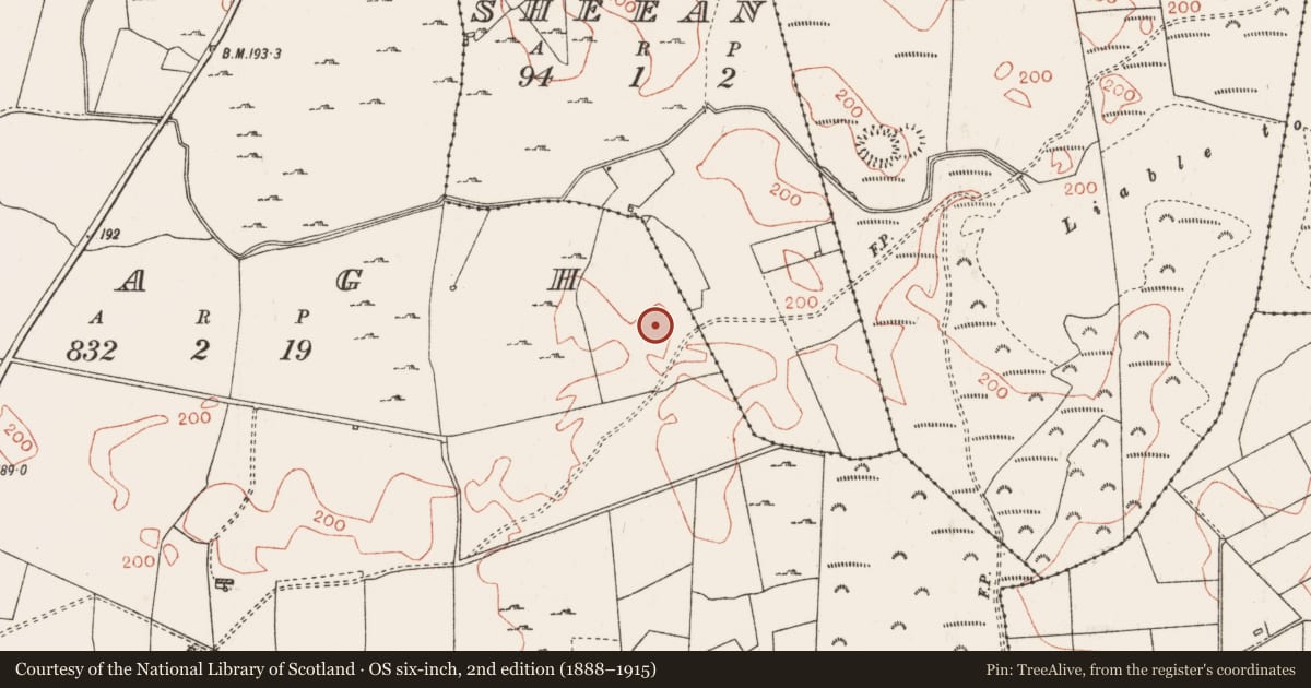 Ordnance Survey six-inch map, 2nd edition (1888–1915) covering the location of Ringfort - cashel, Onagh, County Roscommon, with a pin at the register's coordinates