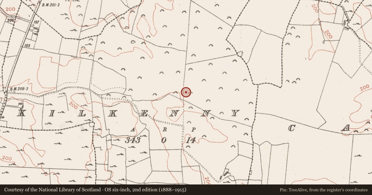 Ordnance Survey six-inch map, 2nd edition (1888–1915) covering the location of Burial, Kilkenny, County Roscommon, with a pin at the register's coordinates