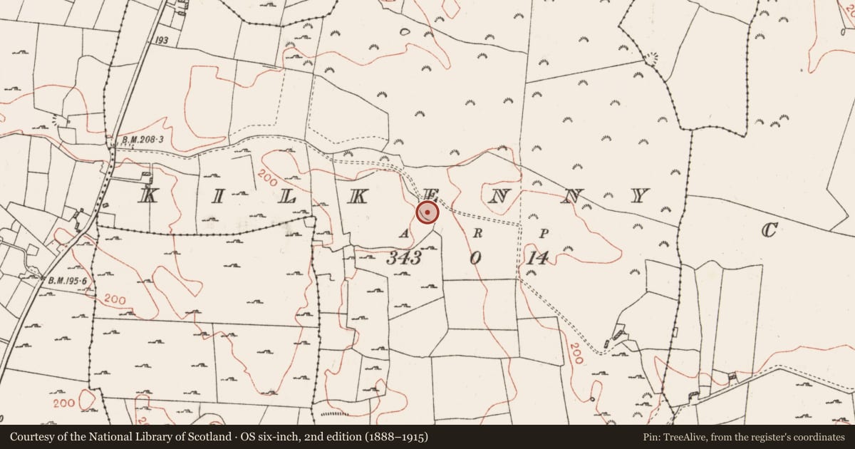 Ordnance Survey six-inch map, 2nd edition (1888–1915) covering the location of Burial, Kilkenny, County Roscommon, with a pin at the register's coordinates