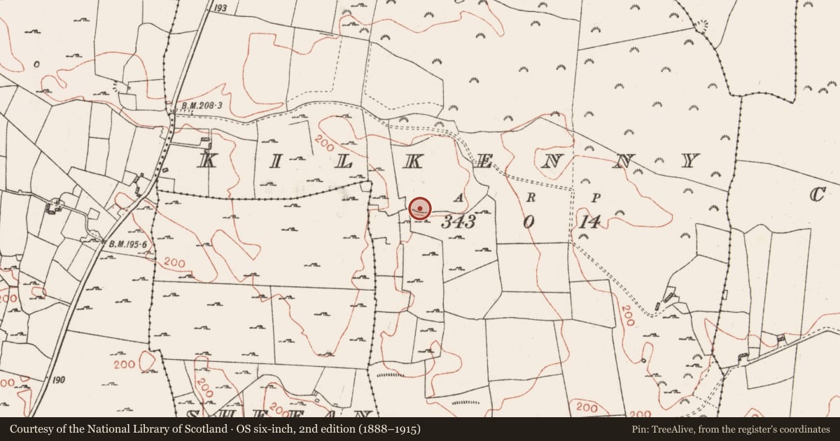 Ordnance Survey six-inch map, 2nd edition (1888–1915) covering the location of Burial, Kilkenny, County Roscommon, with a pin at the register's coordinates