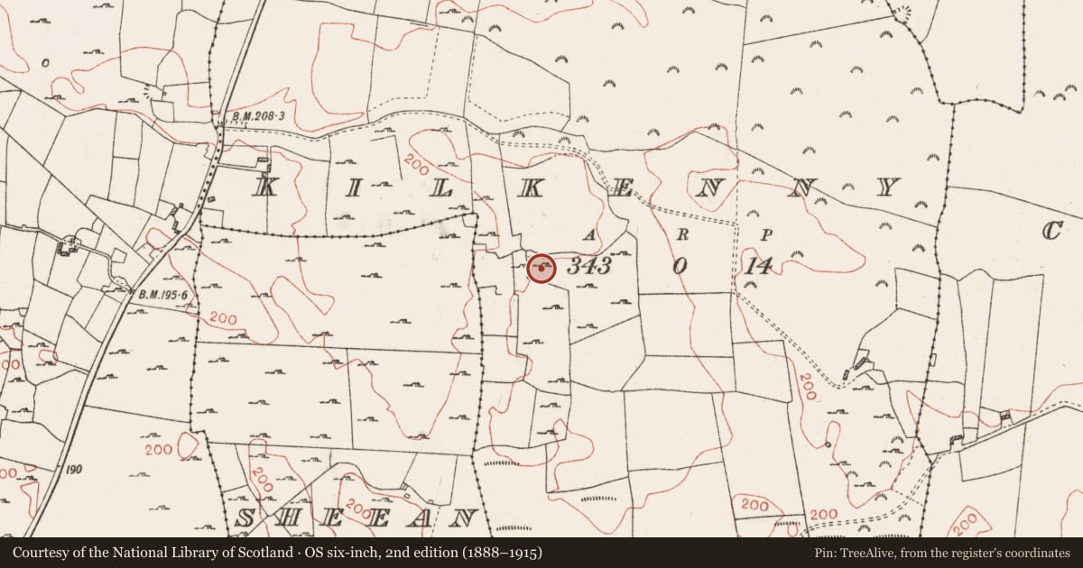 Ordnance Survey six-inch map, 2nd edition (1888–1915) covering the location of Ringfort - cashel, Kilkenny, County Roscommon, with a pin at the register's coordinates