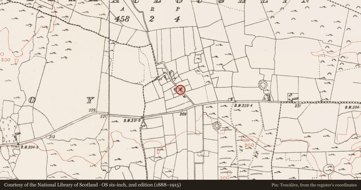 Ordnance Survey six-inch map, 2nd edition (1888–1915) covering the location of Road - road/trackway, Tobermacloughlin, County Roscommon, with a pin at the register's coordinates