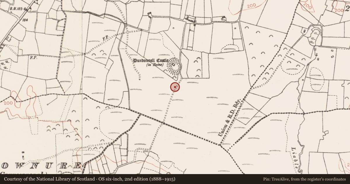 Ordnance Survey six-inch map, 2nd edition (1888–1915) covering the location of Road - road/trackway, Dundonnell, Knock, County Roscommon, with a pin at the register's coordinates