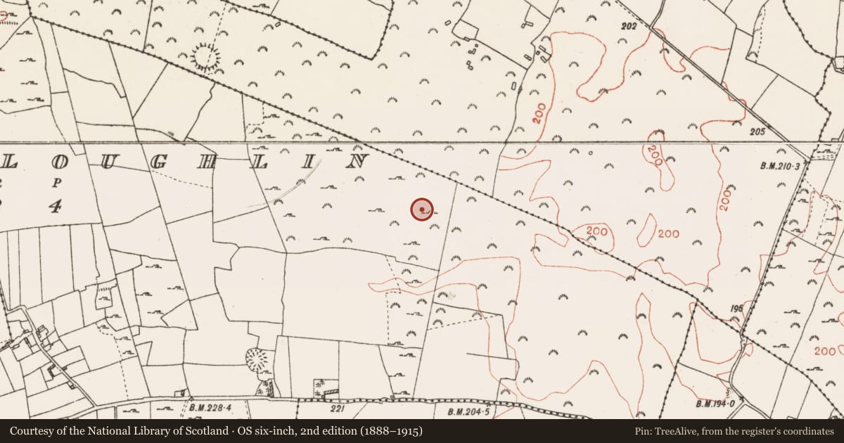 Ordnance Survey six-inch map, 2nd edition (1888–1915) covering the location of Ringfort - rath, Tobermacloughlin, County Roscommon, with a pin at the register's coordinates
