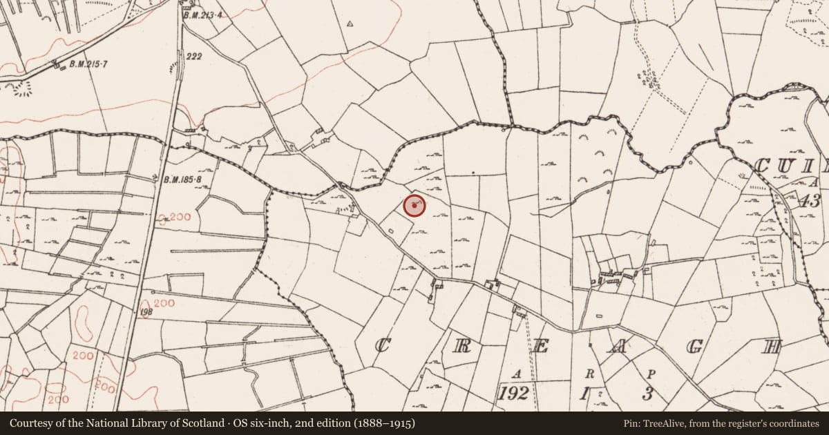 Ordnance Survey six-inch map, 2nd edition (1888–1915) covering the location of Cist, Creagh, County Roscommon, with a pin at the register's coordinates
