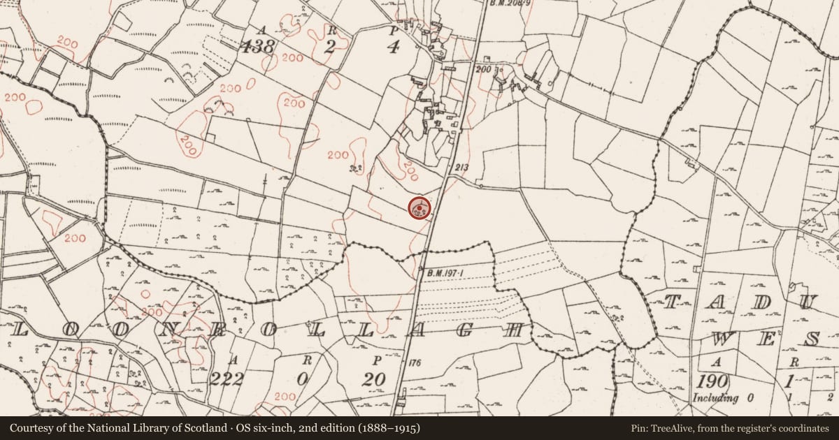 Ordnance Survey six-inch map, 2nd edition (1888–1915) covering the location of Ringfort - cashel, Curraghaleen, County Roscommon, with a pin at the register's coordinates