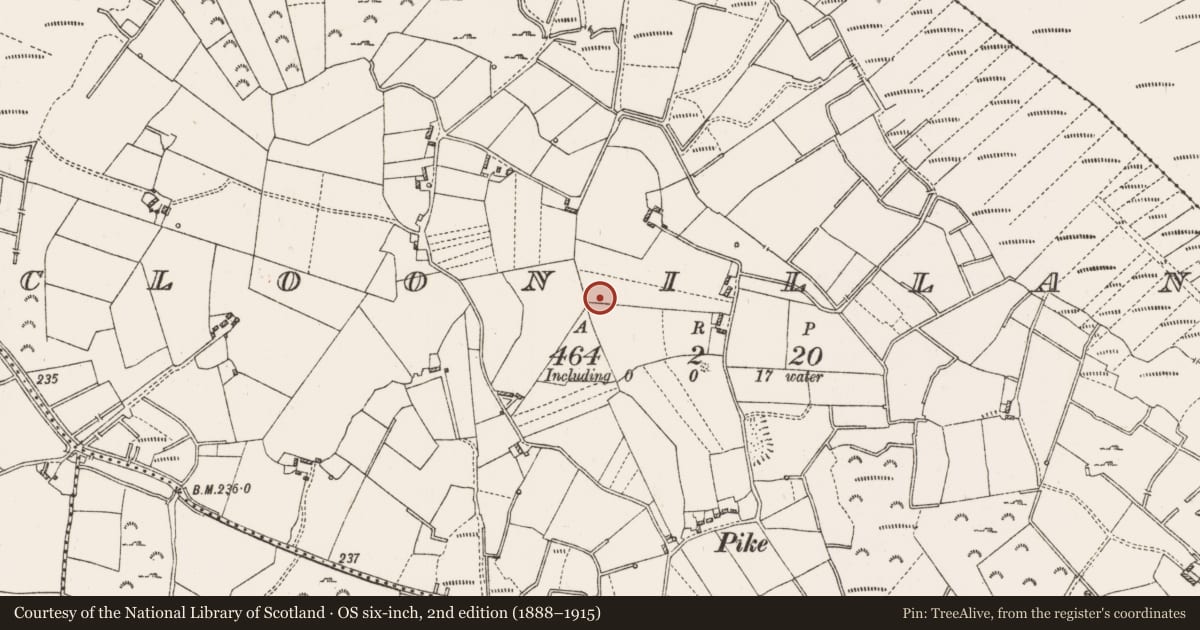 Ordnance Survey six-inch map, 2nd edition (1888–1915) covering the location of Ringfort - rath, Cloonillan, County Roscommon, with a pin at the register's coordinates