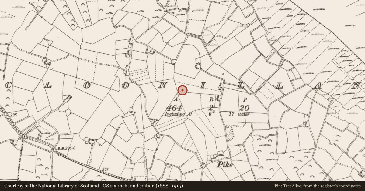 Ordnance Survey six-inch map, 2nd edition (1888–1915) covering the location of Children's burial ground, Cloonillan, County Roscommon, with a pin at the register's coordinates