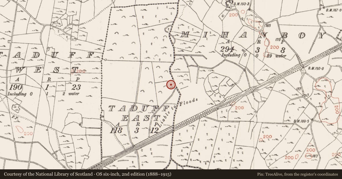Ordnance Survey six-inch map, 2nd edition (1888–1915) covering the location of Fulacht fia, Taduff East, County Roscommon, with a pin at the register's coordinates
