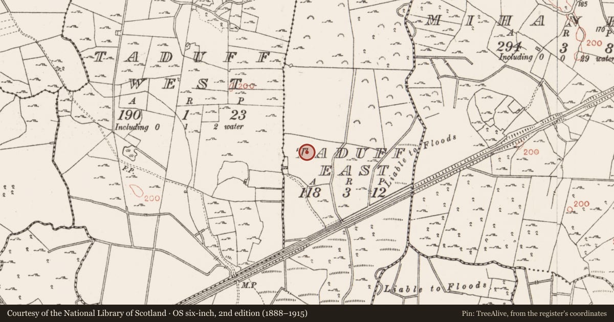 Ordnance Survey six-inch map, 2nd edition (1888–1915) covering the location of Furnace, Taduff East, County Roscommon, with a pin at the register's coordinates