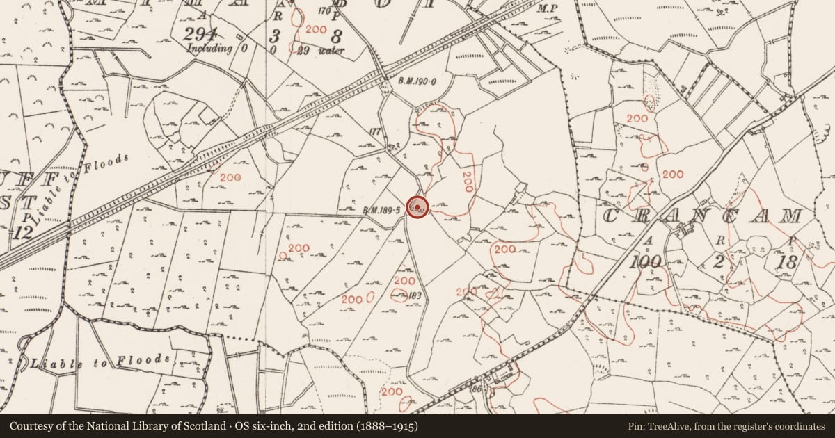 Ordnance Survey six-inch map, 2nd edition (1888–1915) covering the location of House - 18th/19th century, Mihanboy, County Roscommon, with a pin at the register's coordinates