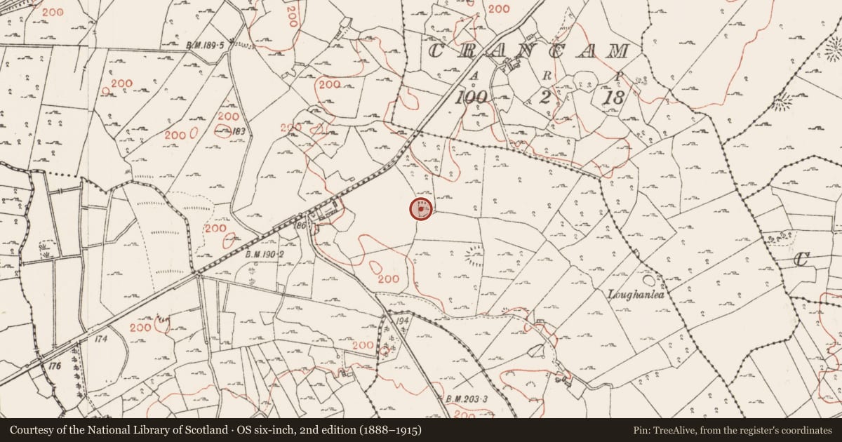 Ordnance Survey six-inch map, 2nd edition (1888–1915) covering the location of Ringfort - cashel, Kilmocolmock, County Roscommon, with a pin at the register's coordinates