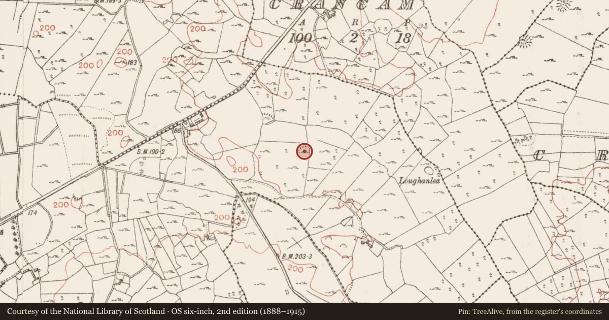 Ordnance Survey six-inch map, 2nd edition (1888–1915) covering the location of Ringfort - cashel, Kilmocolmock, County Roscommon, with a pin at the register's coordinates
