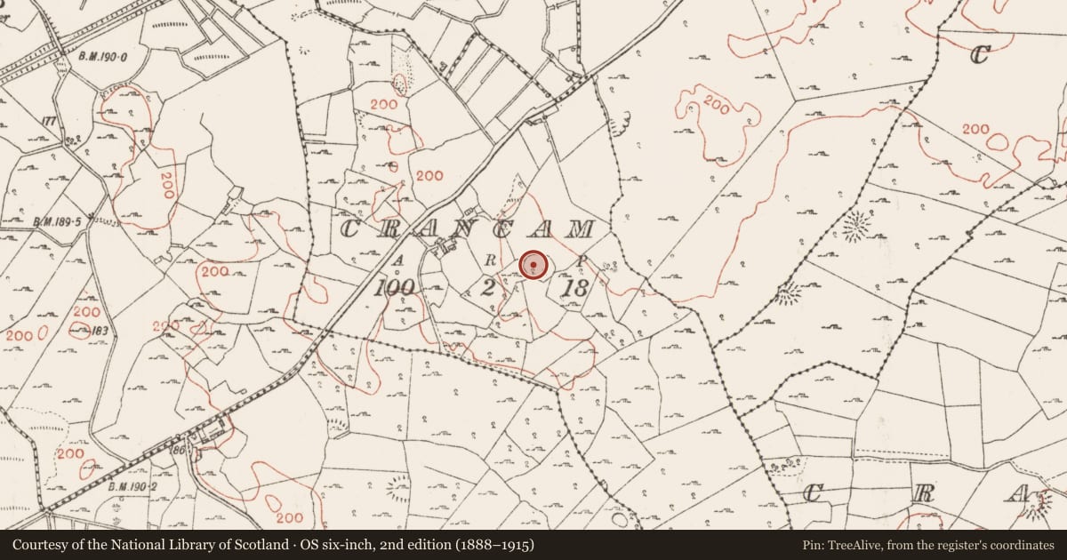 Ordnance Survey six-inch map, 2nd edition (1888–1915) covering the location of Ringfort - cashel, Crancam, County Roscommon, with a pin at the register's coordinates