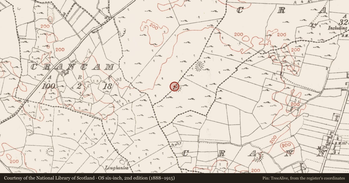 Ordnance Survey six-inch map, 2nd edition (1888–1915) covering the location of Ringfort - cashel, Crannagh, Crannagh Beg, County Roscommon, with a pin at the register's coordinates