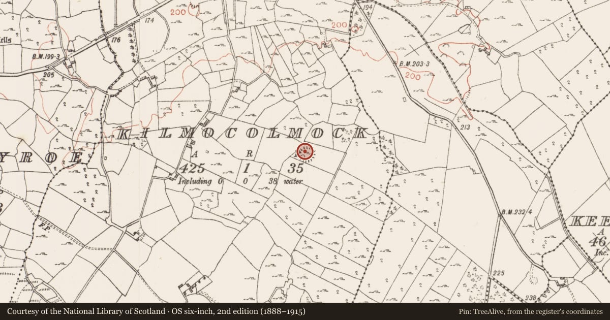 Ordnance Survey six-inch map, 2nd edition (1888–1915) covering the location of Ringfort - cashel, Kilmocolmock, County Roscommon, with a pin at the register's coordinates