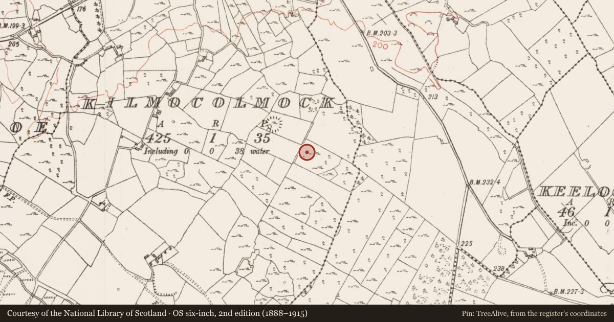 Ordnance Survey six-inch map, 2nd edition (1888–1915) covering the location of Ringfort - cashel, Kilmocolmock, County Roscommon, with a pin at the register's coordinates