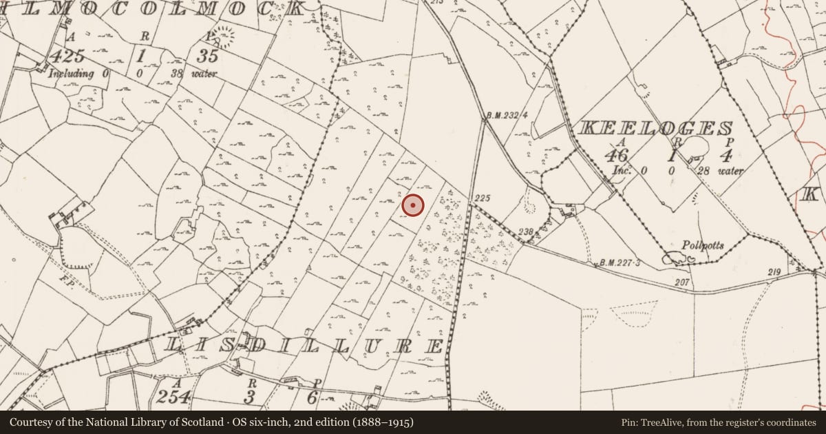 Ordnance Survey six-inch map, 2nd edition (1888–1915) covering the location of Souterrain, Lisdillure, County Roscommon, with a pin at the register's coordinates