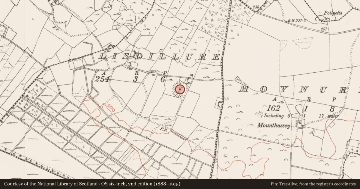 Ordnance Survey six-inch map, 2nd edition (1888–1915) covering the location of Ringfort - rath, Lisdillure, County Roscommon, with a pin at the register's coordinates