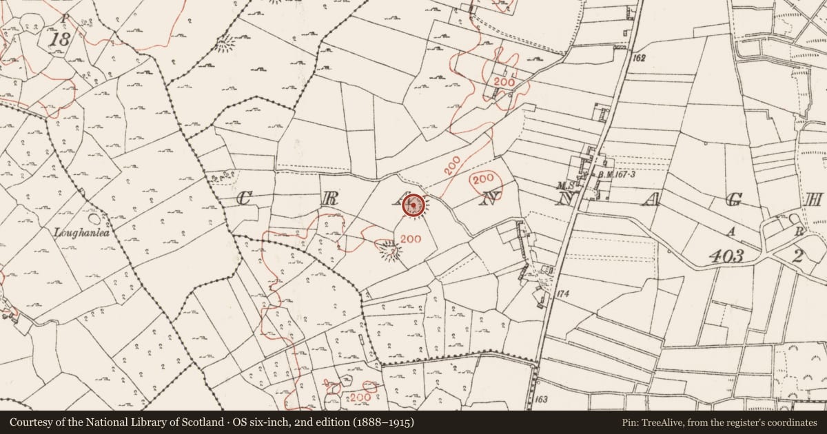Ordnance Survey six-inch map, 2nd edition (1888–1915) covering the location of Ringfort - cashel, Crannagh More, County Roscommon, with a pin at the register's coordinates