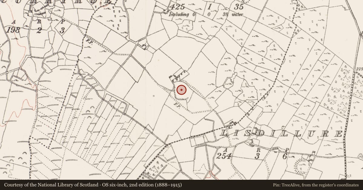 Ordnance Survey six-inch map, 2nd edition (1888–1915) covering the location of Hilltop enclosure, Kilmocolmock, County Roscommon, with a pin at the register's coordinates