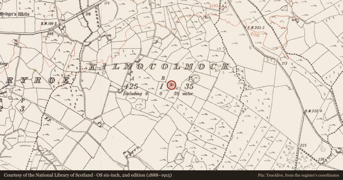 Ordnance Survey six-inch map, 2nd edition (1888–1915) covering the location of Ringfort - cashel, Kilmocolmock, County Roscommon, with a pin at the register's coordinates