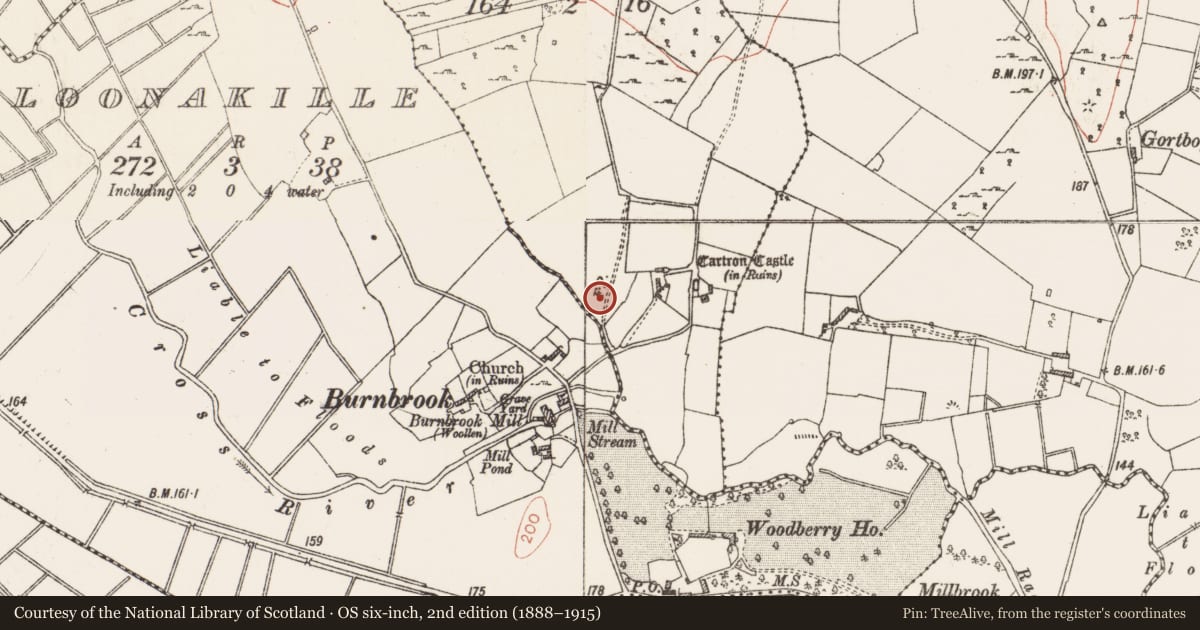 Ordnance Survey six-inch map, 2nd edition (1888–1915) covering the location of Ritual site - holy well, Cartron, County Roscommon, with a pin at the register's coordinates