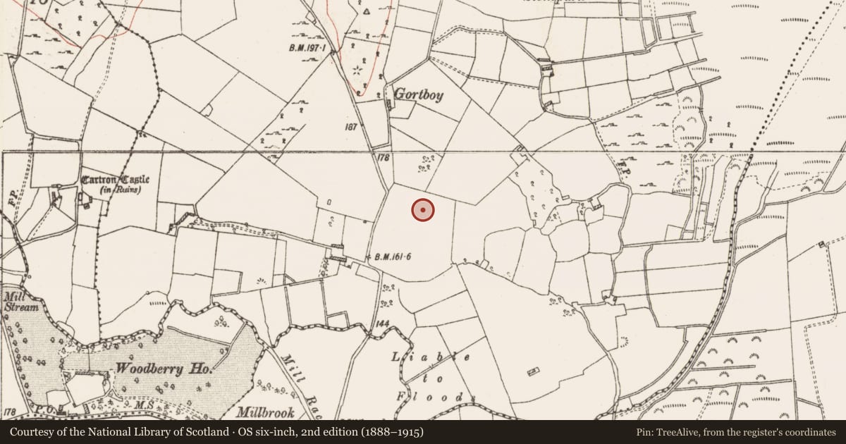 Ordnance Survey six-inch map, 2nd edition (1888–1915) covering the location of Standing stone, Cloongowna, County Roscommon, with a pin at the register's coordinates