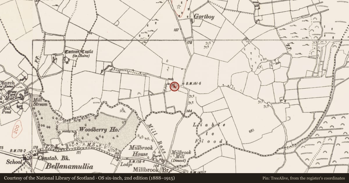 Ordnance Survey six-inch map, 2nd edition (1888–1915) covering the location of Industrial chimney, Cloongowna, County Roscommon, with a pin at the register's coordinates